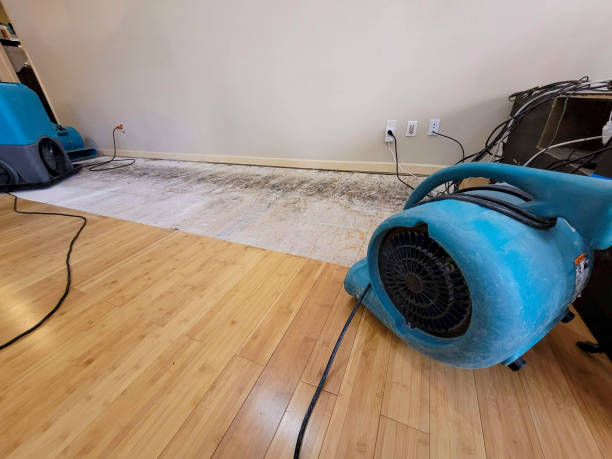 Professional Burst Pipe Water Damage technician working in West Jefferson, OH